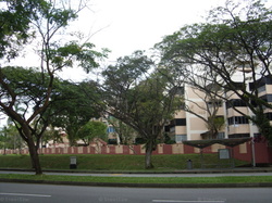 thomson-grove photo thumbnail #17